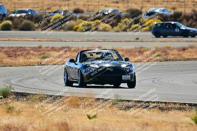 media/Nov-16-2024-Extreme Speed (Sat) [[6587d07cc4]]/Gold Group/Session 2 (Turns 3 and 5)/